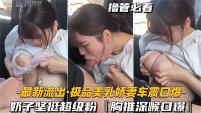 最新流出】极品美乳娇妻车震口爆奶子坚挺超级粉胸推深喉