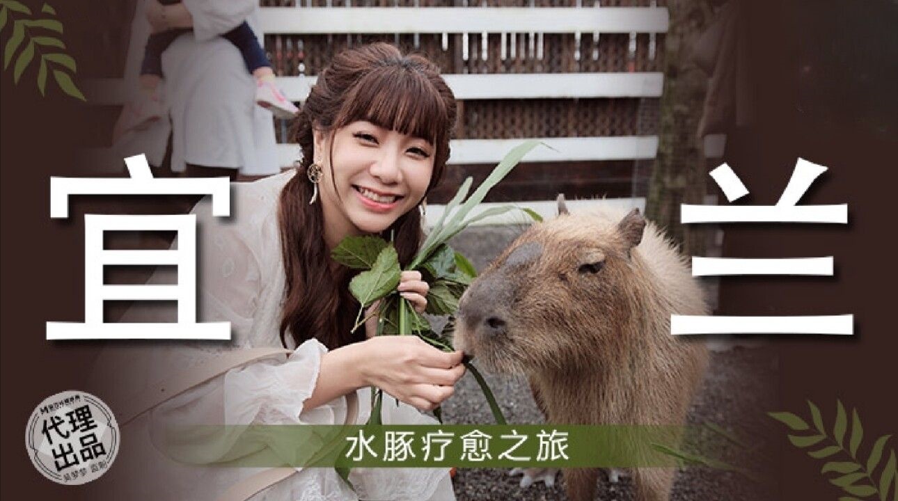 宜兰水豚疗愈之旅