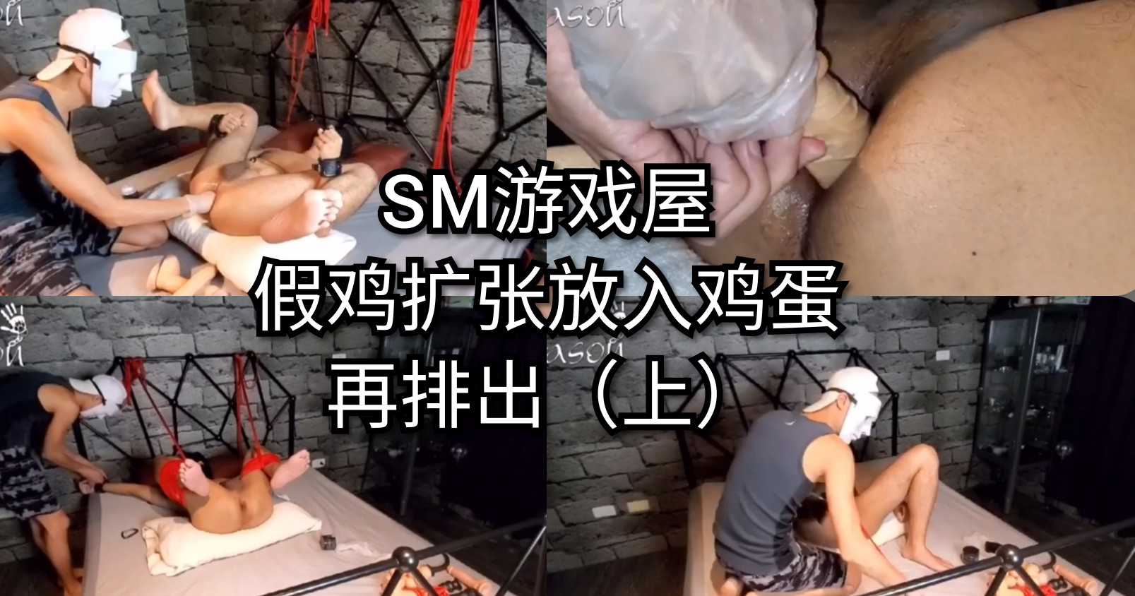 SM游戏屋假鸡扩张放入鸡蛋再排出 上