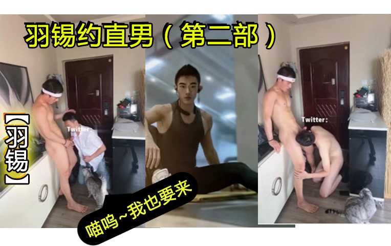 【羽锡】羽锡约直男第二部，话说那个猫也想加入？