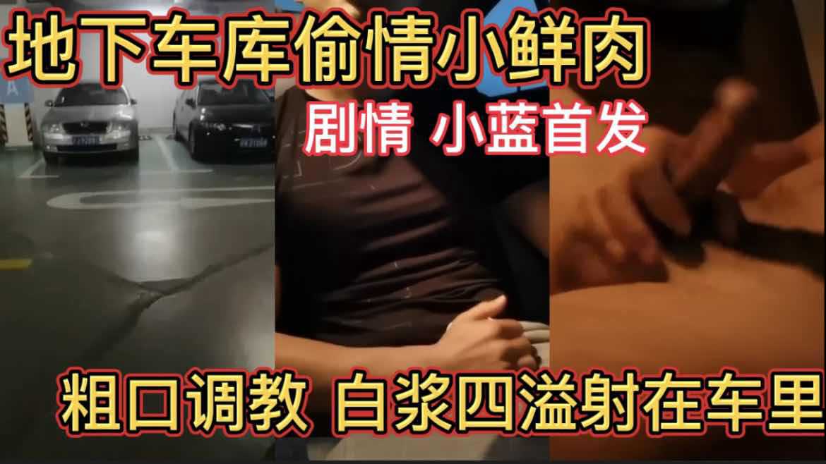 地下车库偷情小鲜肉 粗口调教白浆四溢射在车里 小蓝首发