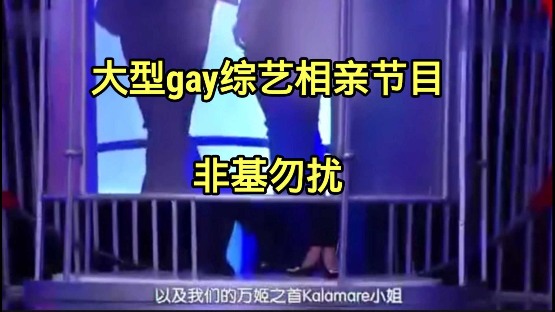 大型gay综艺相亲节目，非基勿扰(下)