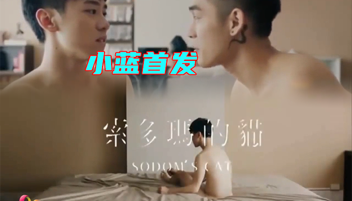 【小蓝首发】群里认识的爱情，最后还是一个人的生活《索多玛的猫》
