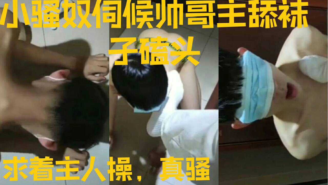 小骚奴伺候帅哥主【1】舔袜子磕头，求着主人操，真骚