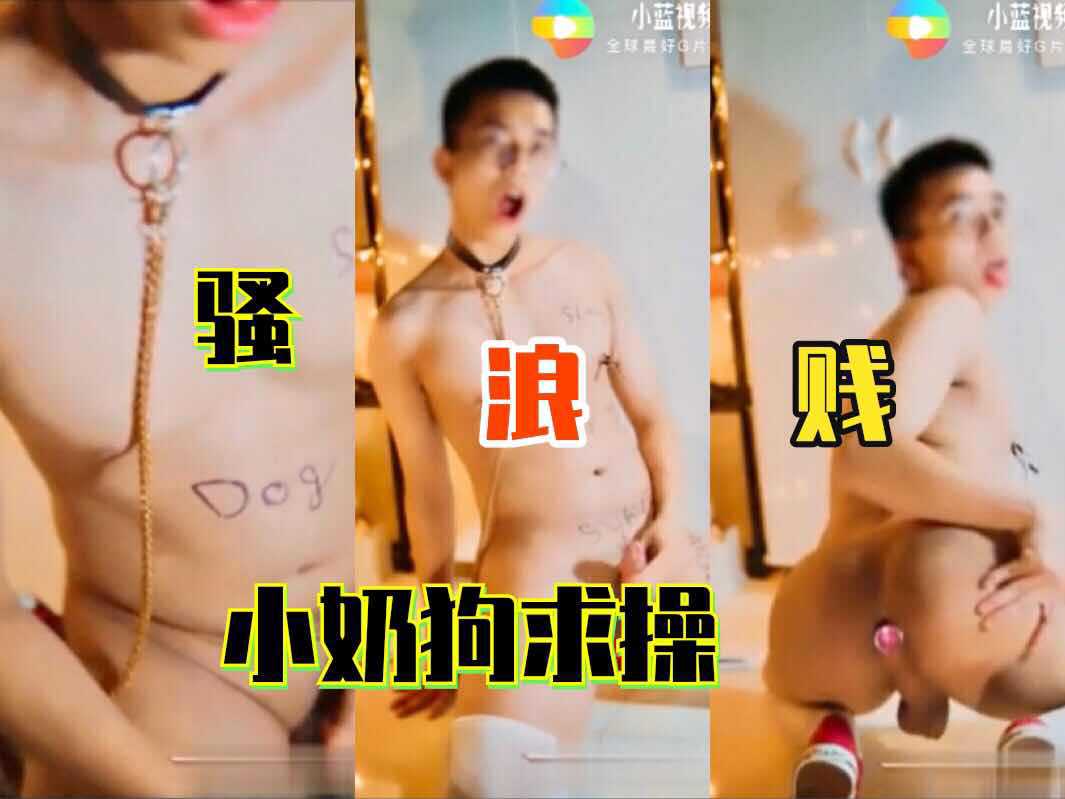 骚浪贱的小奶狗求操