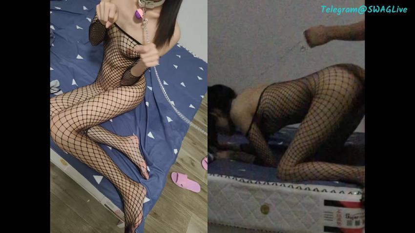 出租屋调教粉嫩女友 穿上丝网猛操 原档露脸